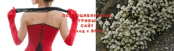 гашик Белоозёрский