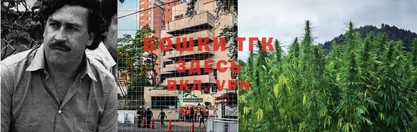 каннабис Белокуриха