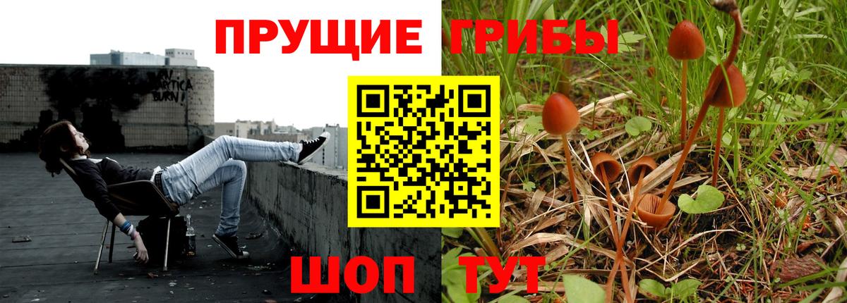 Псилоцибиновые грибы мицелий  Вход с VPN  Вязьма 