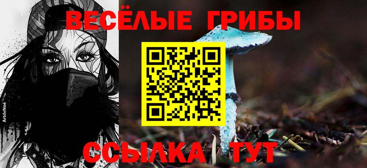 Псилоцибиновые грибы прущие грибы Вязьма